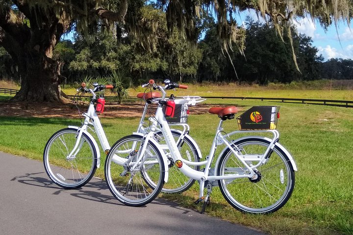 Along the Hogeye Trail in The Villages Step Thru 7 Speed Cruiser Bike. Helmets, locks and bottle cage included.